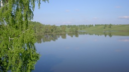 3d обои Типичный российский пейзаж-берёзка склонила ветви к воде, пологие холмы с редкими деревцами и голубое небо  лес