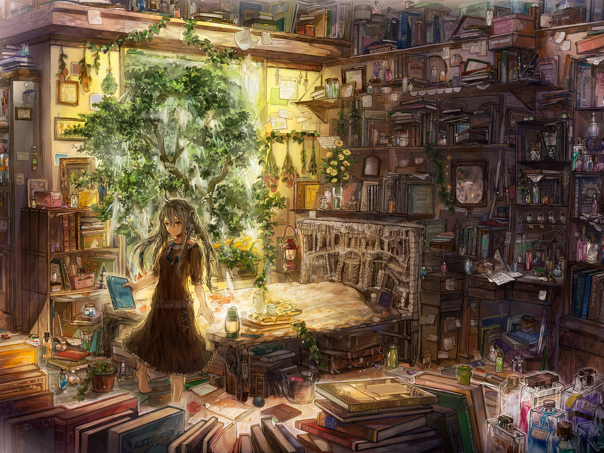 3d обои Девушка в комнате, захламлённой множеством книг, коробочек и пузырьков, в которой произрастает дерево и цветы, с книгой в руке  1920х1440 # 14711