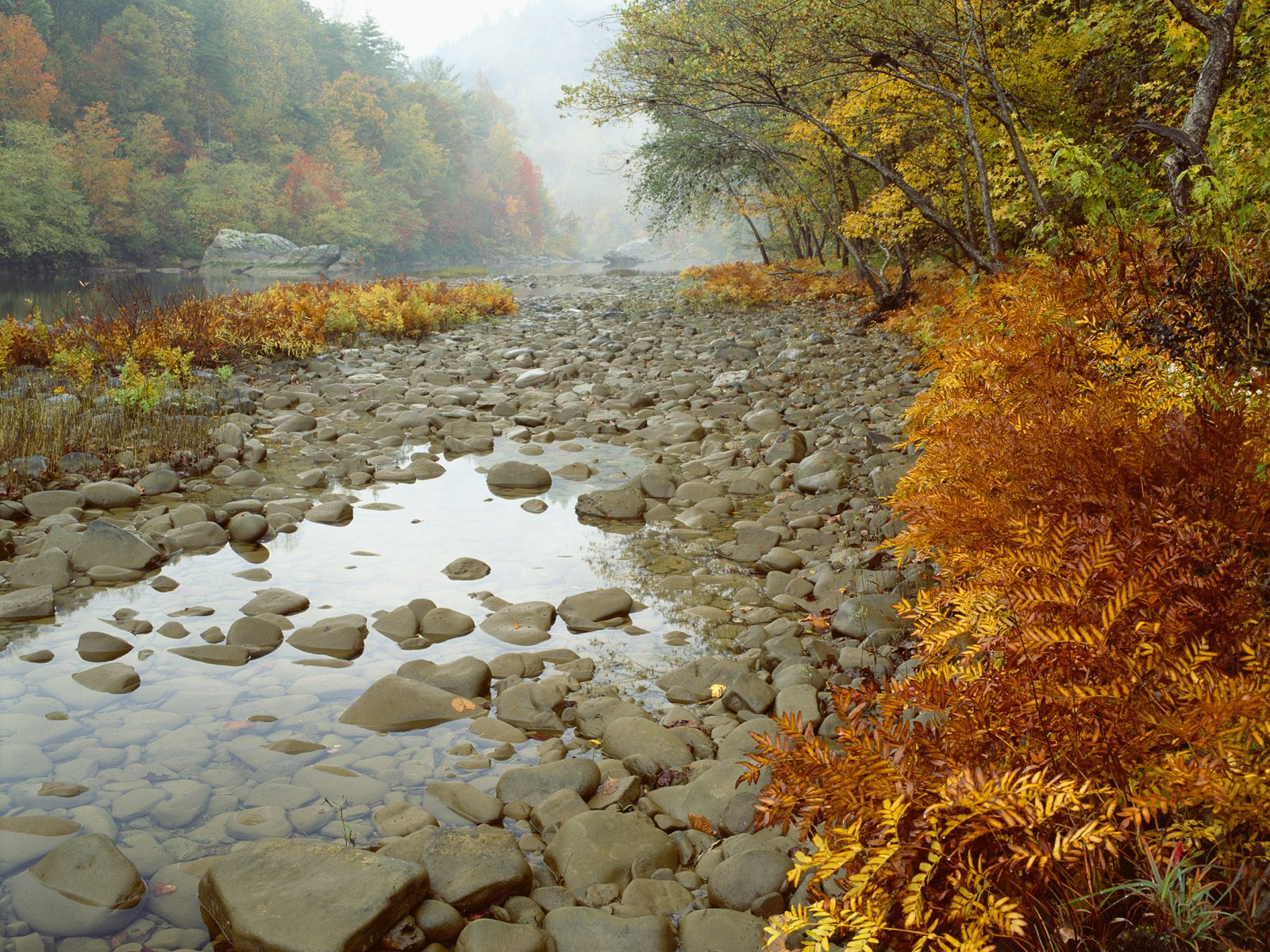3d обои Осенний пейзаж на берегу речки  вода # 21365