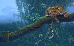 3d обои Леопард на дереве  листья