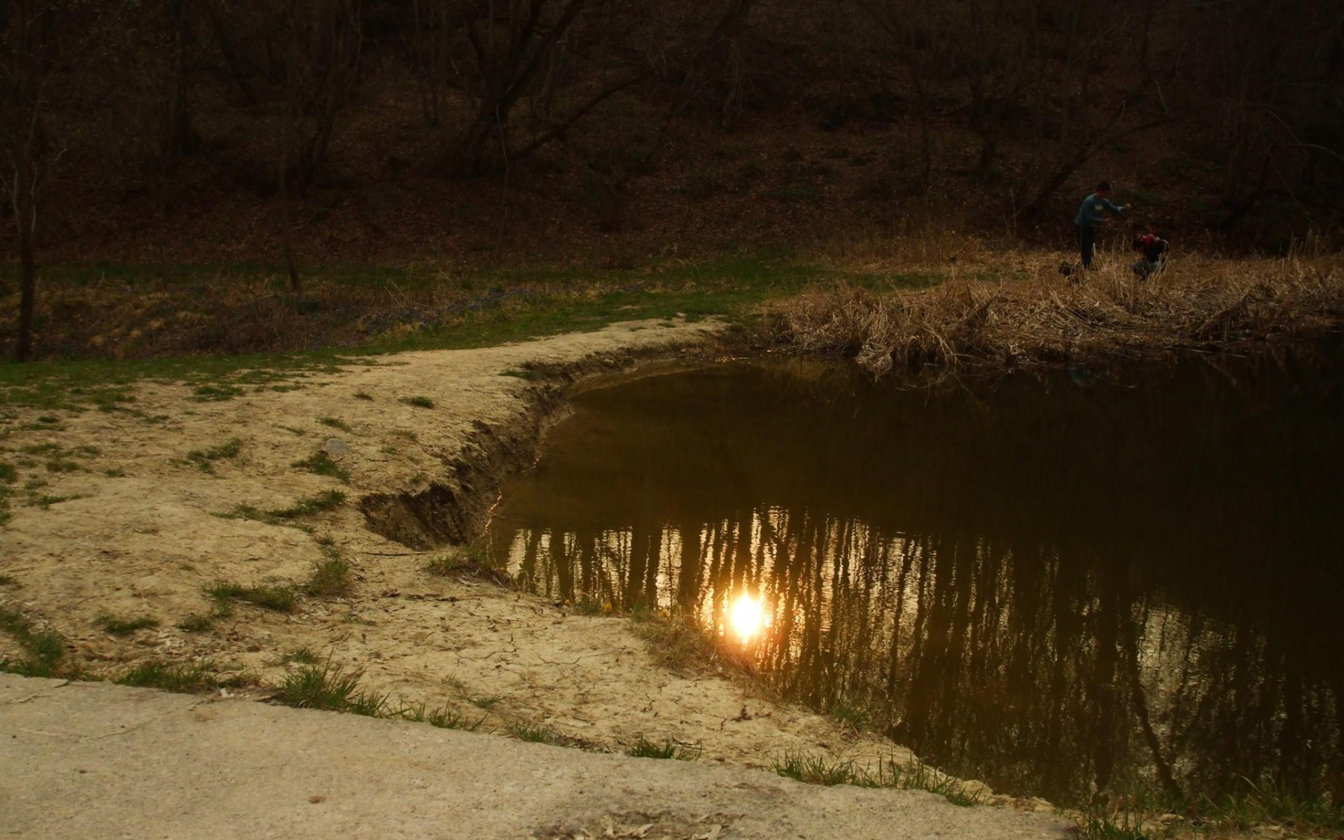 3d обои Солнышко отражается в застоявшийся воде маленького болотца, за ним виднеются фигуры двух людей  солнце # 81510