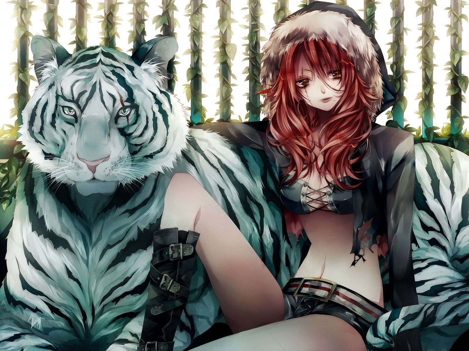 3d обои Девушка с тигром  тигры # 83240
