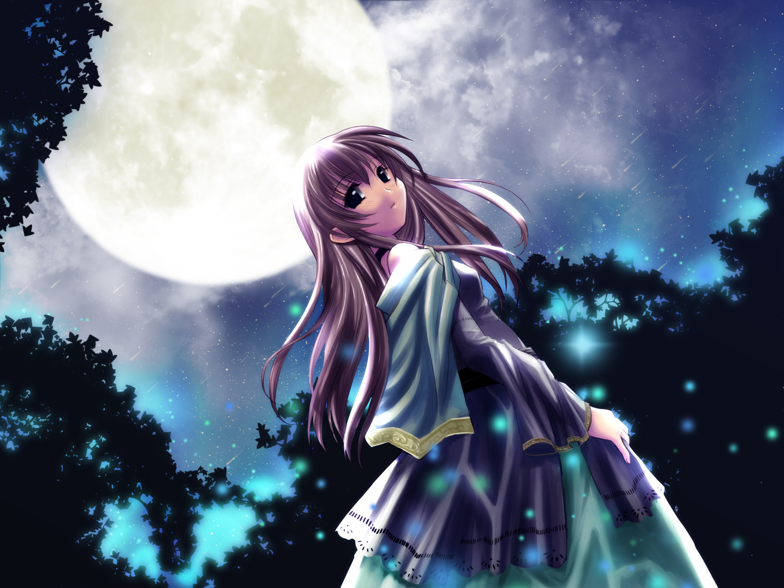 3d обои Девушка ночью при полной луне во время звездопада  небо # 60299