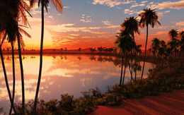 3d обои Красивый закат,солнце,пальмы,море  1680х1050