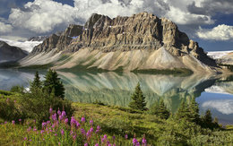 3d обои Красивый пейзаж - горное озеро, горы, полевые цветы  вода