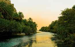 3d обои Река в джунглях  вода