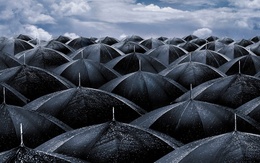 3d обои Чёрные зонты под снегом  черно-белые