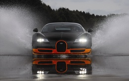 3d обои Bugatti Veyron на трассе  вода