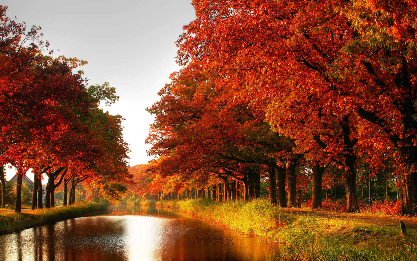 3d обои Осенние деревья у реки  1680х1050 # 7563
