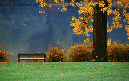 3d обои Осенний парк у озера  листья