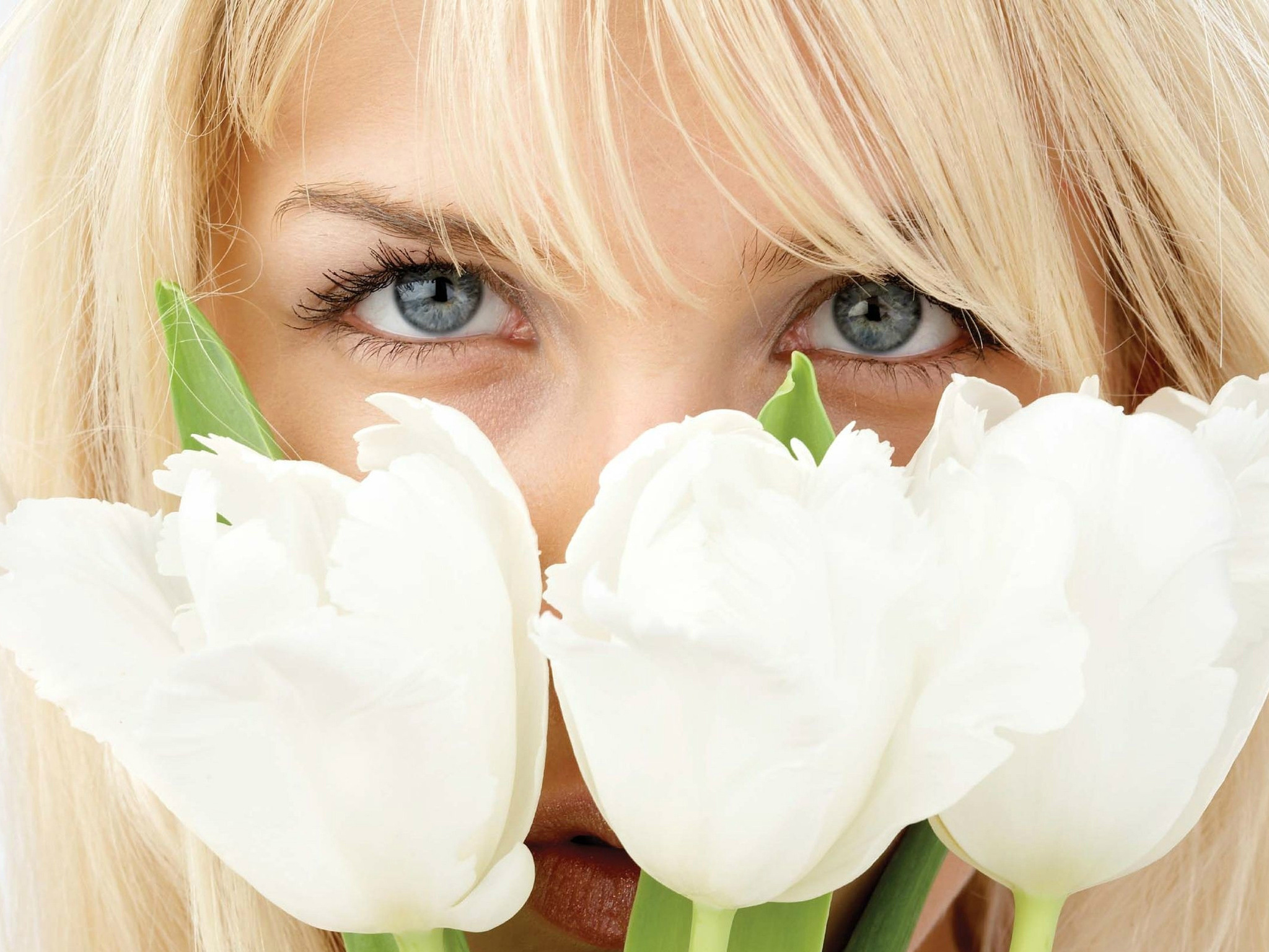3d обои Блондинка и белые тюльпаны  макро # 52092