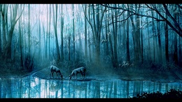 3d обои Олени в лесу на водопое  ночь