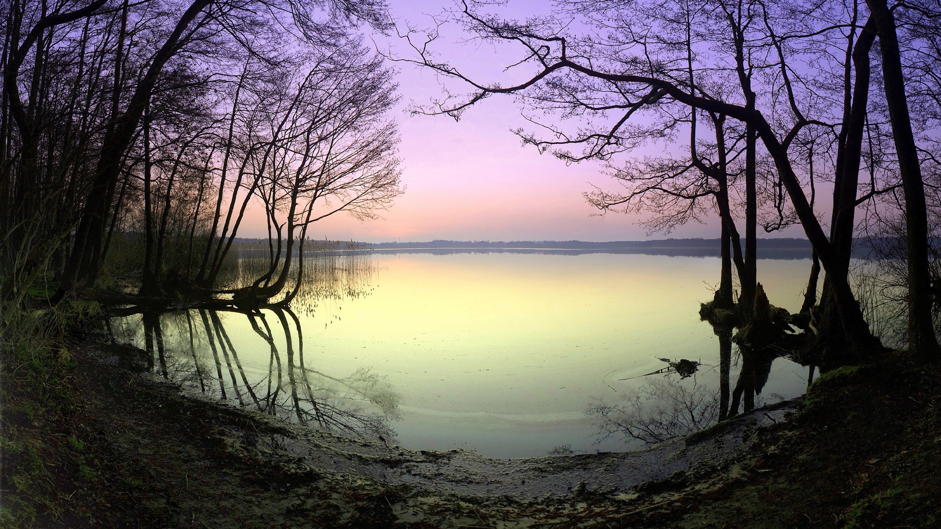 3d обои Озеро на рассвете  деревья # 31805