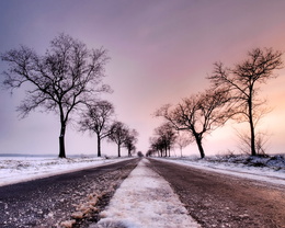 3d обои Заснеженная дорога  зима
