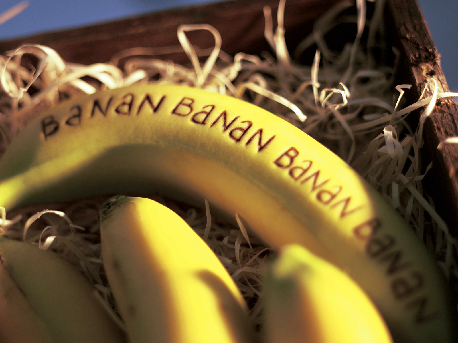 3d обои Бананы в деревянной стружке (Banan)  еда # 36225