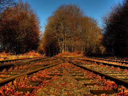 3d обои Железнодорожная развилка  осень