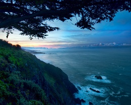 3d обои Ветка дерева на скалистом берегу у моря,на закате дня  горы